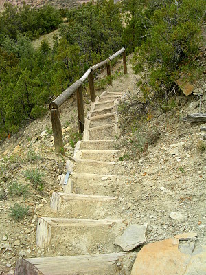 [Looking down the steps. Each step has wood at the sides and front (to keep the dirt from eroding). There is also a wood rail railing for part of the hill.]